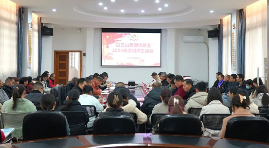 紅臉出汗強黨性，凝心聚力促發展 | 白云山盈康黨總支召開2024年度組織生活會